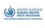 UN Human Rights Special Procedures